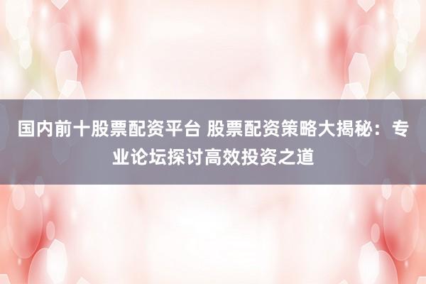 国内前十股票配资平台 股票配资策略大揭秘：专业论坛探讨高效投资之道