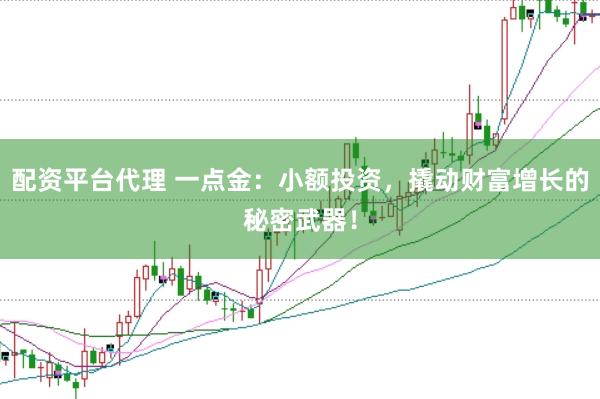 配资平台代理 一点金：小额投资，撬动财富增长的秘密武器！