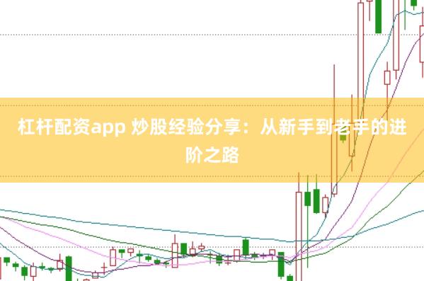 杠杆配资app 炒股经验分享：从新手到老手的进阶之路