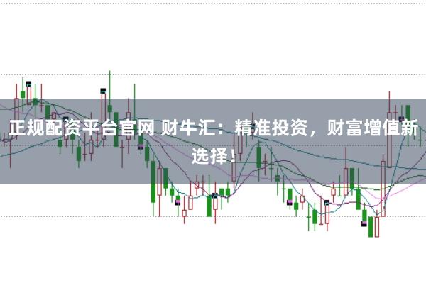 正规配资平台官网 财牛汇：精准投资，财富增值新选择！