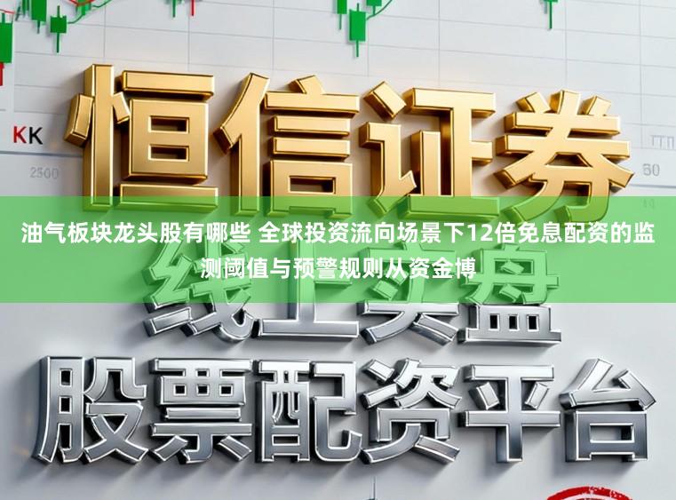 油气板块龙头股有哪些 全球投资流向场景下12倍免息配资的监测阈值与预警规则从资金博