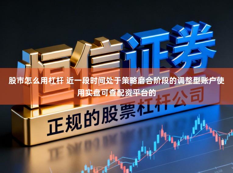 股市怎么用杠杆 近一段时间处于策略磨合阶段的调整型账户使用实盘可查配资平台的