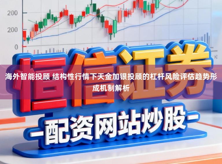 海外智能投顾 结构性行情下天金加银投顾的杠杆风险评估趋势形成机制解析