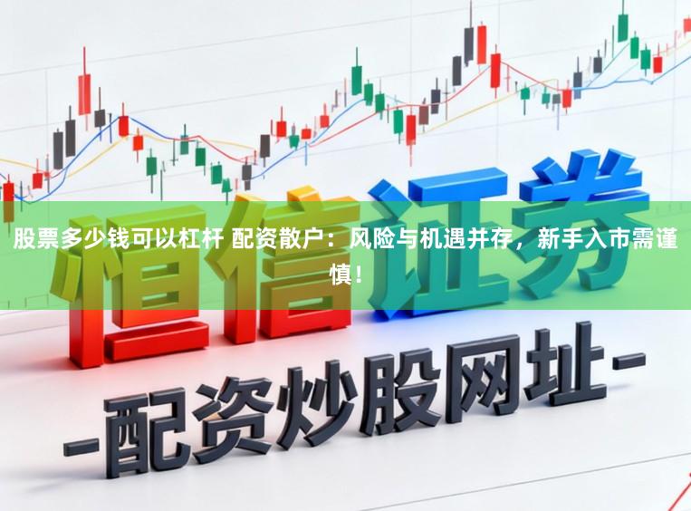 股票多少钱可以杠杆 配资散户：风险与机遇并存，新手入市需谨慎！